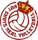 Hotshots Volleyball logo